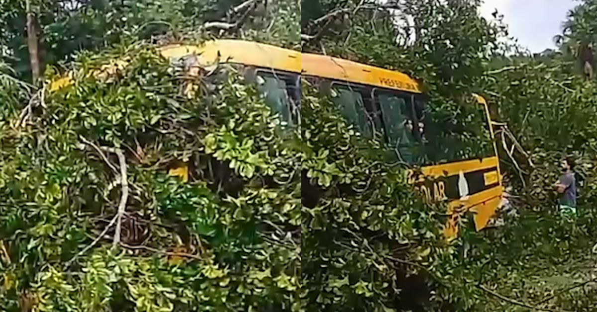 Árvore cai sobre ônibus escolar durante temporal em Quatipuru