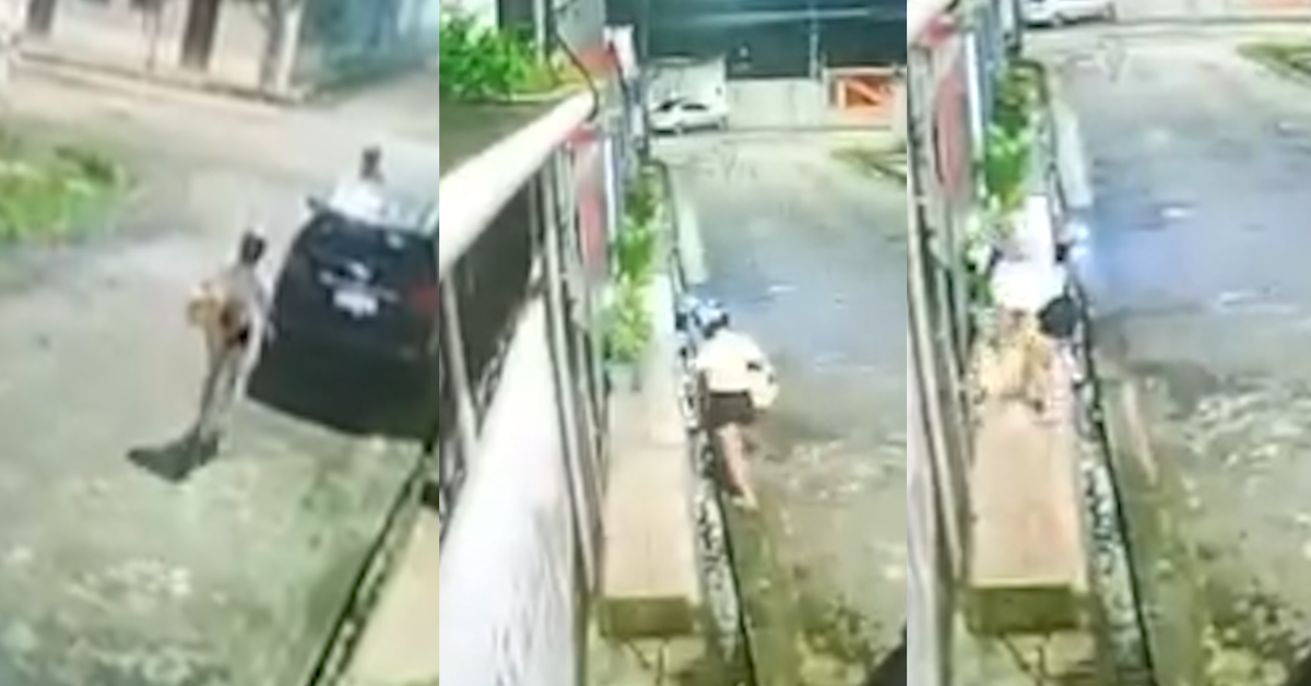 Câmera flagra abandono de gato ferido em frente a clínica veterinária em Belém