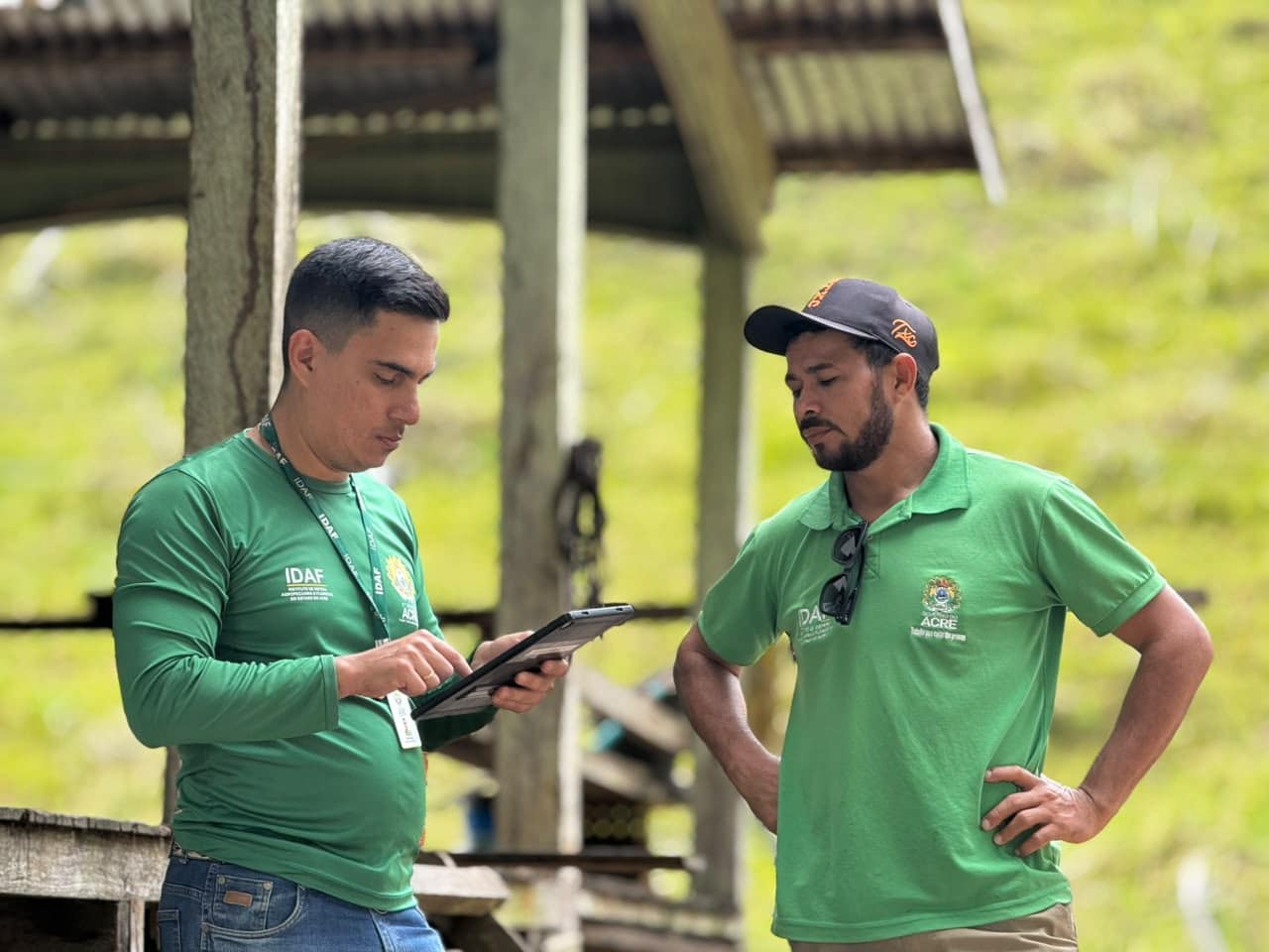 Idaf investiga morte de bovinos e sintomas neurológicos no interior do Acre