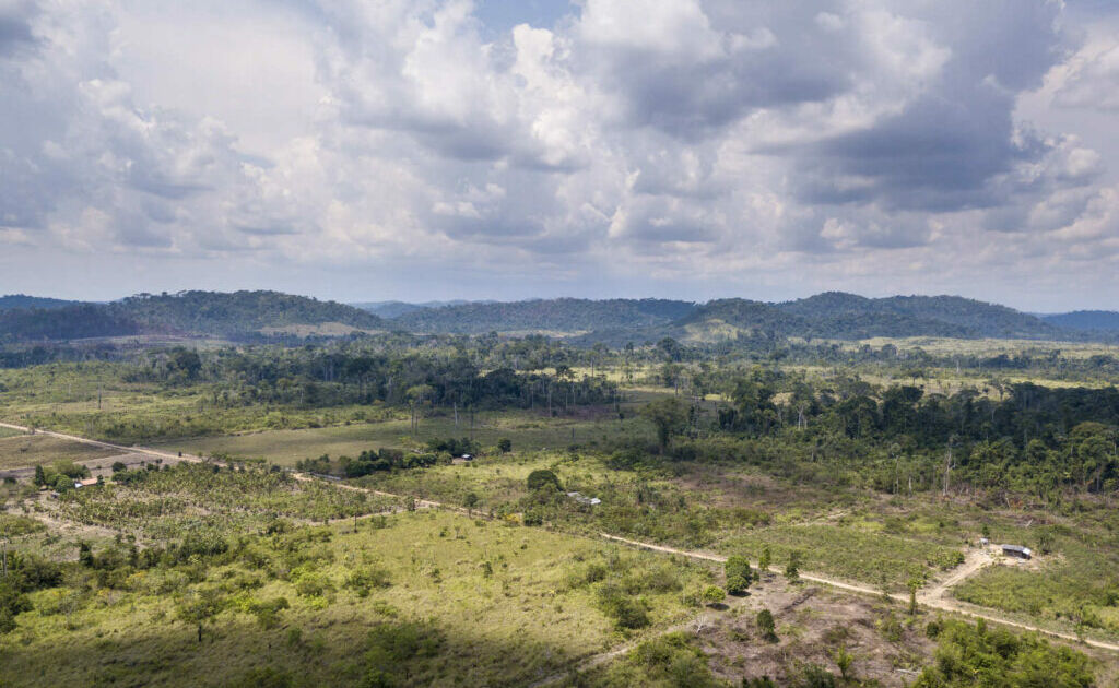 Justiça cobra ação do Incra contra ocupação ilegal em assentamento no Pará