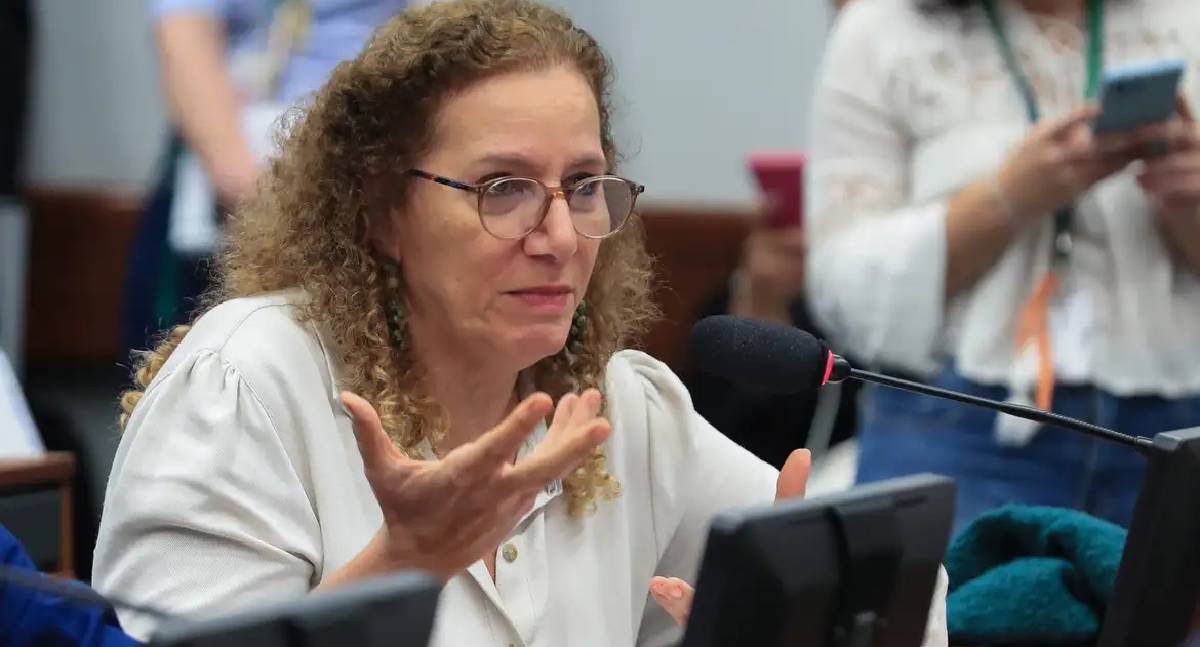 Parlamentares vão aos EUA para defender soberania brasileira