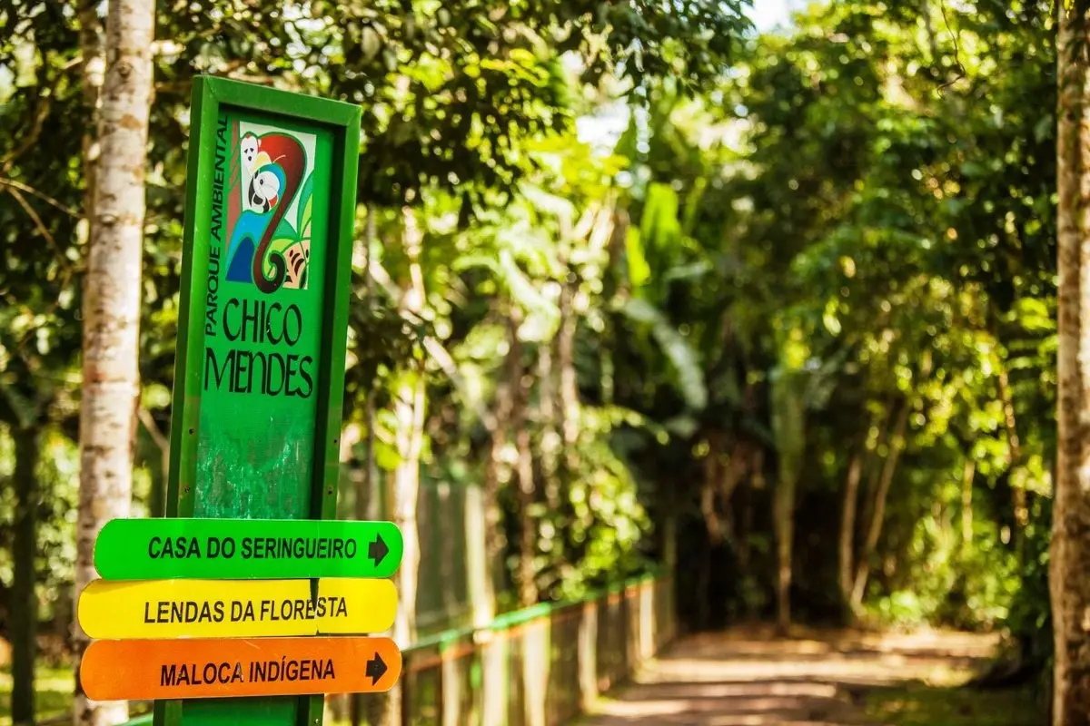 Parque Chico Mendes recebe encontro de desenho ao ar livre aberto ao público neste sábado