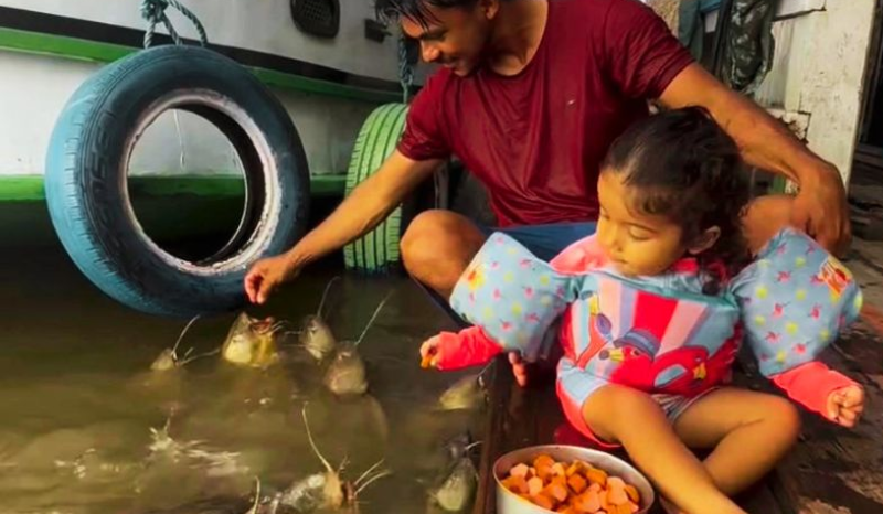 pescador encanta ao ensinar filha a alimentar peixes no AM