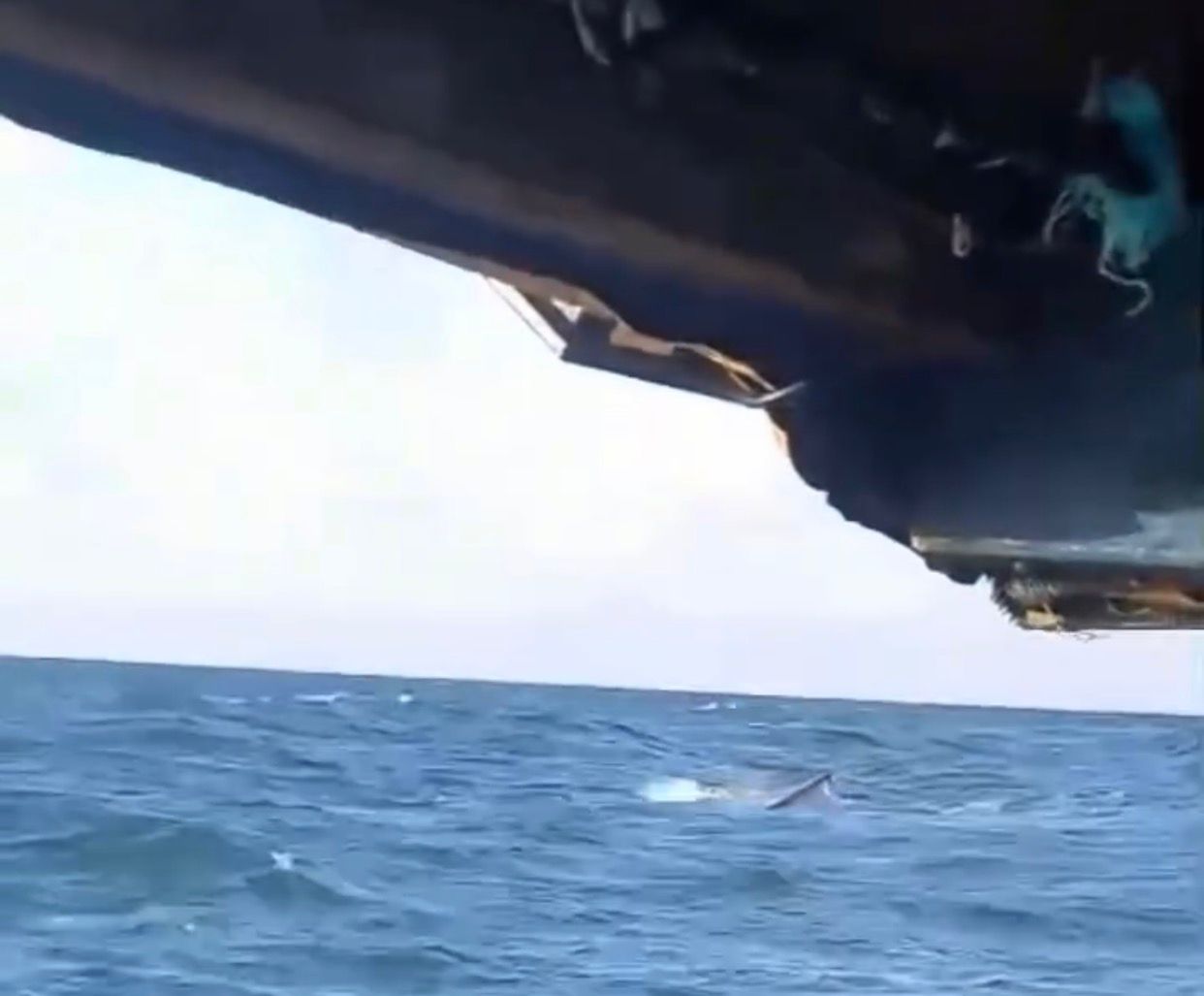 Seis pescadores são resgatados com vida após naufrágio no litoral de Carutapera