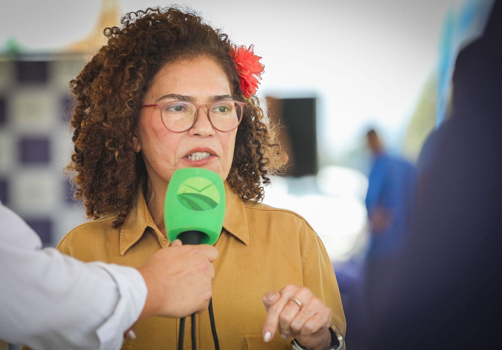 Perpétua de volta à política fala sobre pré-candidatura à Câmara e balanço da ABDI
