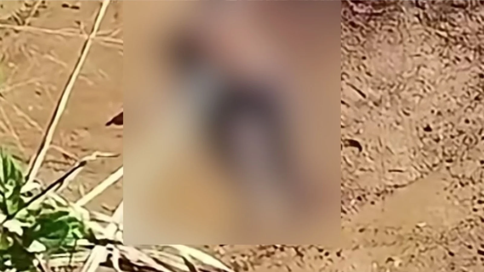 Vídeo: homem é encontrado morto em praia no distrito de Outeiro