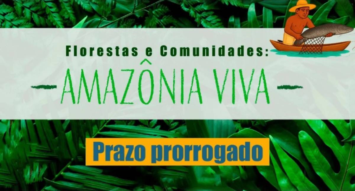 Amazônia Viva: Conab adia divulgação de propostas classificadas no projeto socioambiental