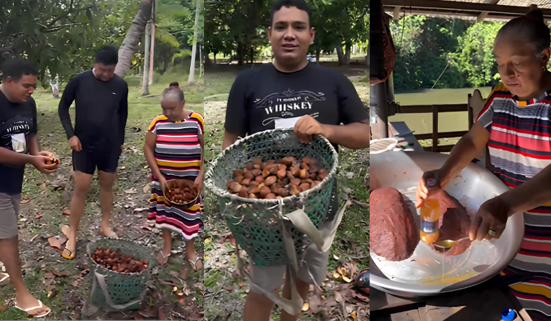 Conhece a andiroba? Vídeo de influenciadora do AM extraindo o óleo viraliza