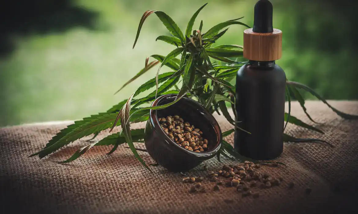 Projeto apoia mães e crianças atípicas tratadas à base de cannabis