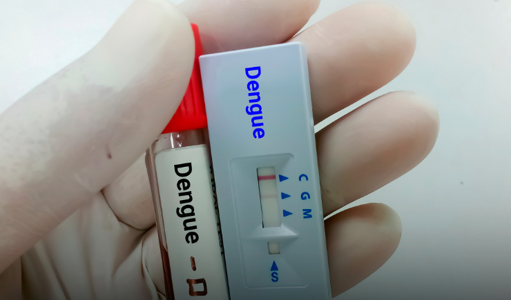 Alerta! Saúde investiga possível reintrodução do sorotipo 3 da dengue no Acre