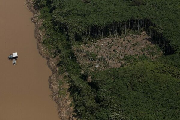 BNDES barra R$ 5,5 milhões em financiamentos rurais por suspeita de desmatamento ilegal em Roraima
