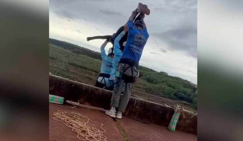 jovem morre ao ser lançada sem corda durante rope jump; VEJA