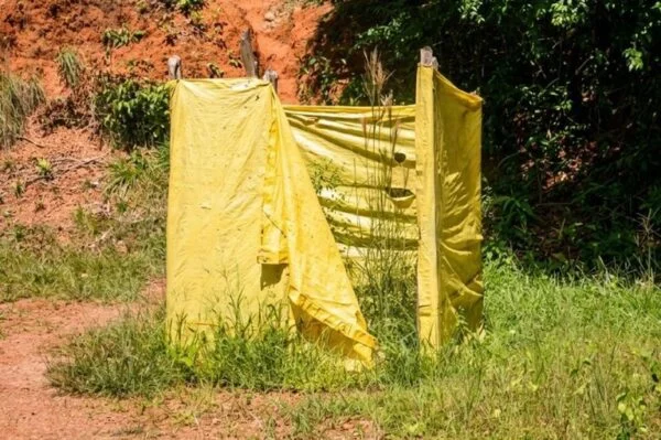 Justiça condena prefeitura de Santa Luzia do Pará por condições precárias em escola quilombola