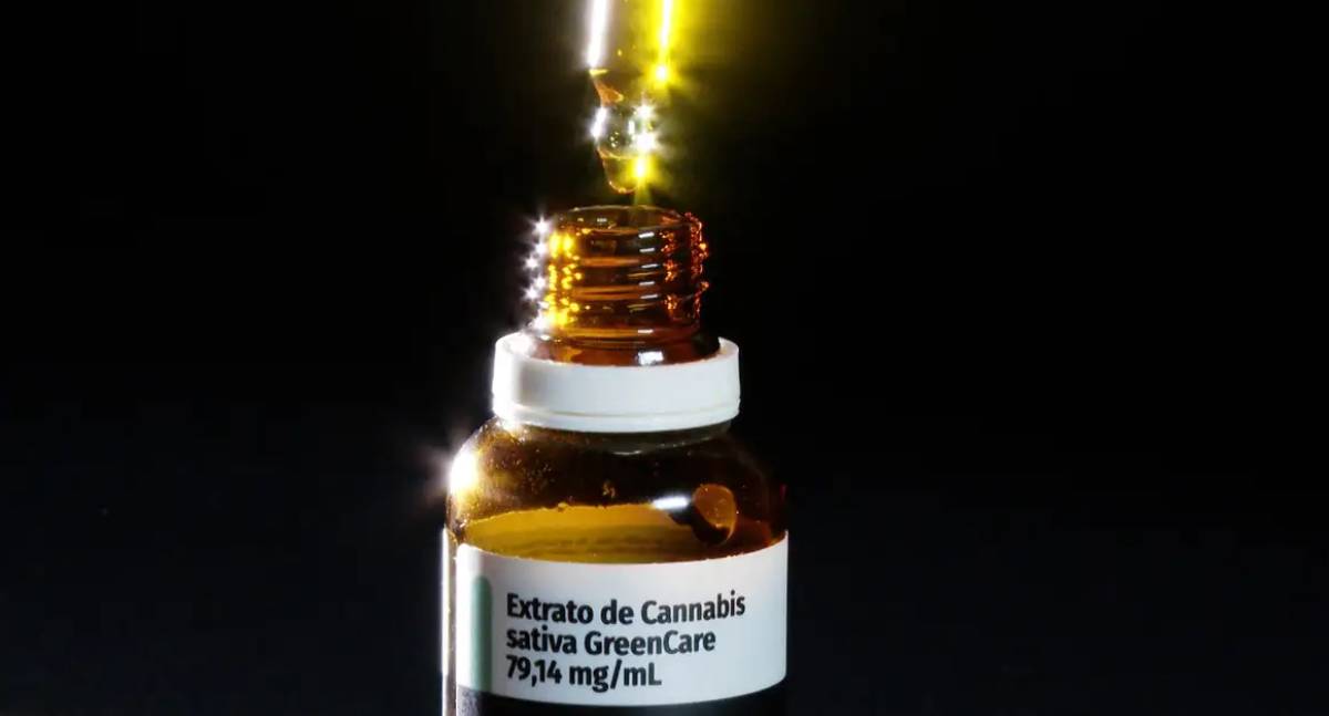 Musculação lidera hábitos de pacientes em tratamento com cannabis