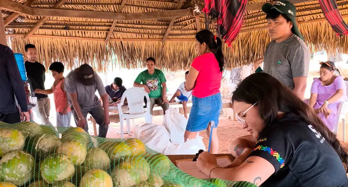 Programa de Aquisição de Alimentos impulsiona segurança alimentar e renda na aldeia Pingo d’Água