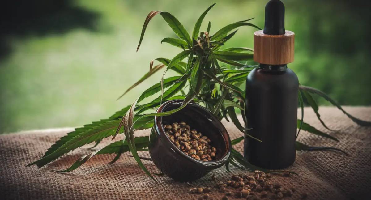 Projeto apoia mães e crianças atípicas tratadas à base de cannabis