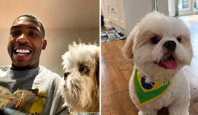Duck, cachorro de Rayan, viraliza em hotel enquanto jogador está na Copa