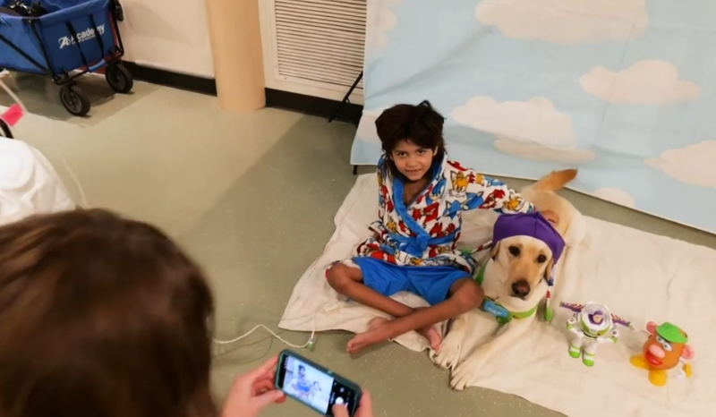 cão terapeuta ganha festa de Toy Story em hospital; VEJA