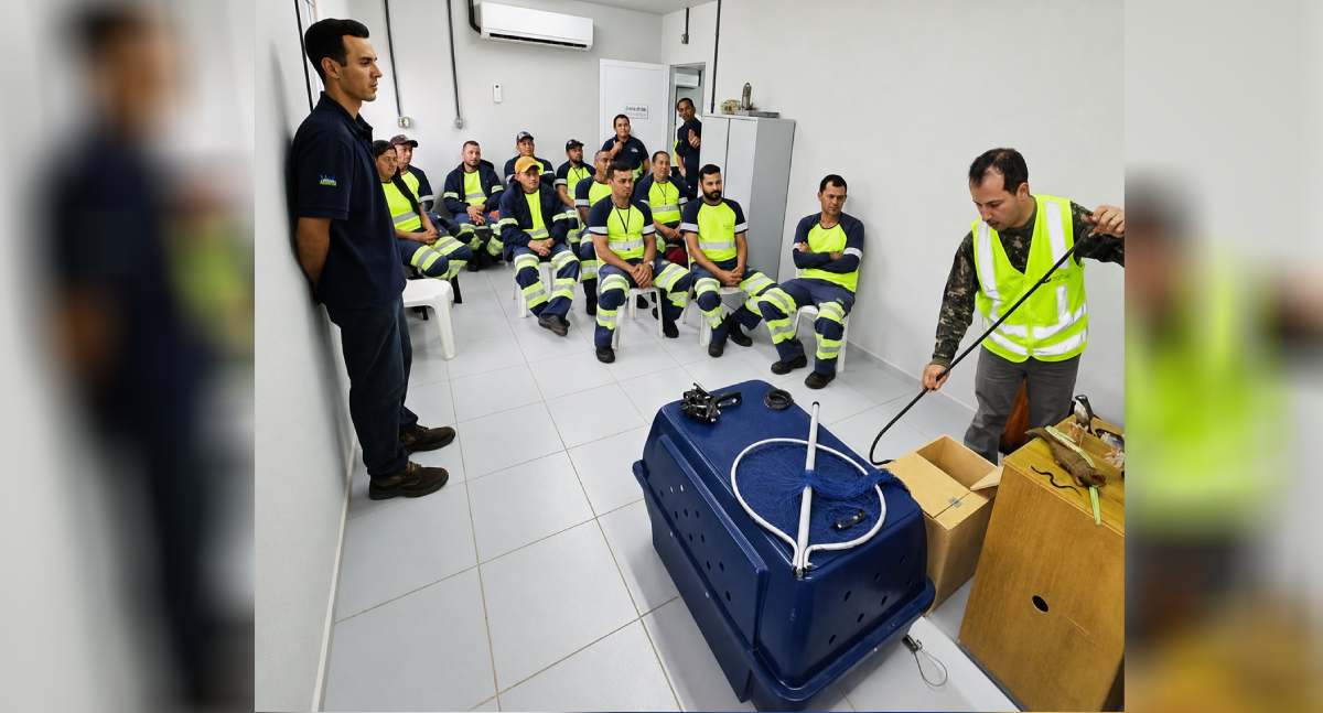Treinamento de manejo de fauna capacita operadores viários da BR-364