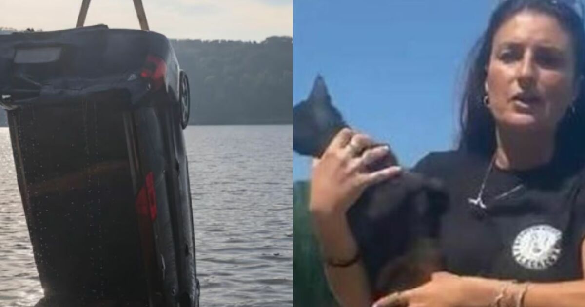 Tutora salva gato preso dentro de carro que caiu em lago na Itália